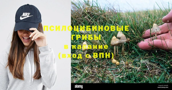 хмурый Кукмор