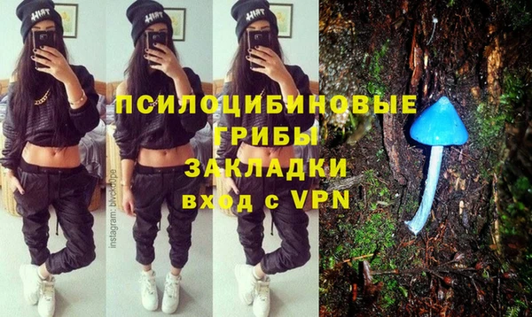 хмурый Кукмор