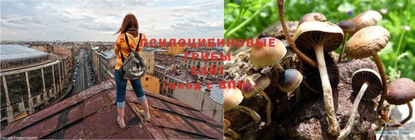 хмурый Кукмор