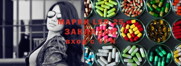 СК Елабуга