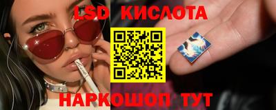 кокс Донской