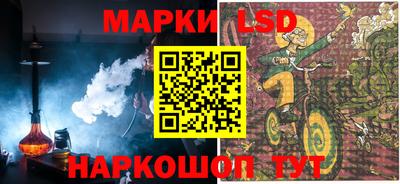 кокс Донской
