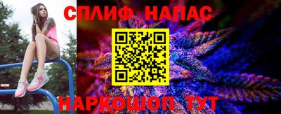 кокс Донской