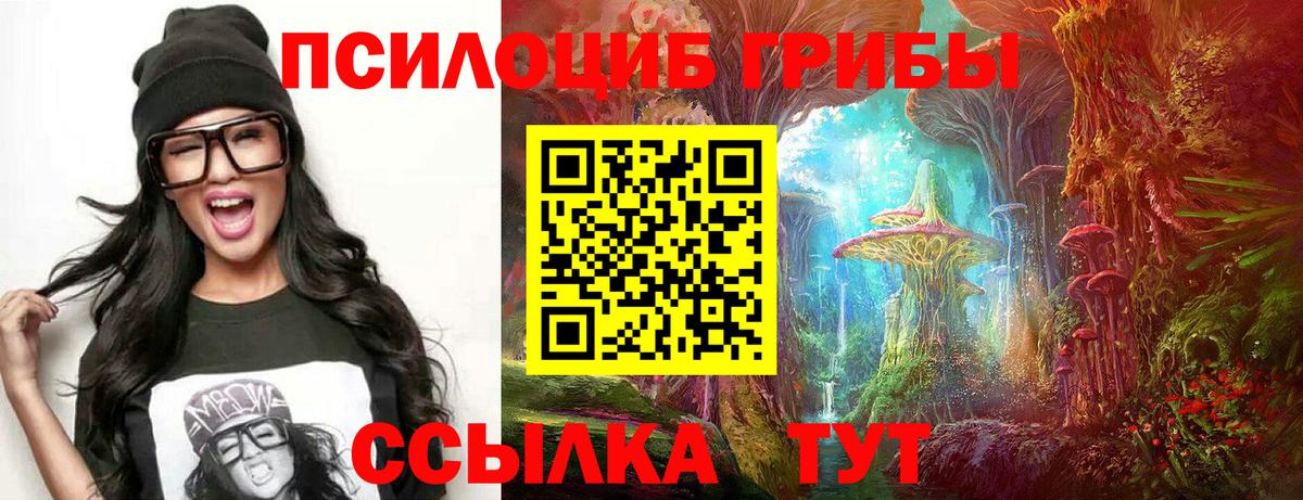 Галлюциногенные грибы GOLDEN TEACHER Гудермес