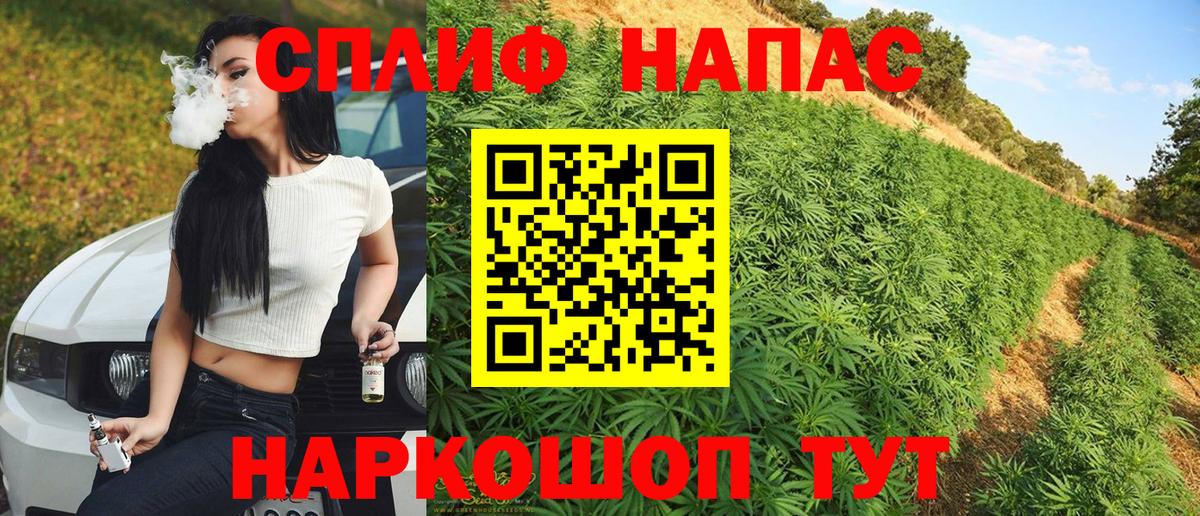 Марихуана тримм Гудермес
